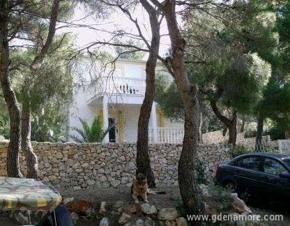 apartmani damir, privatni smeštaj u mestu Vis, Hrvatska